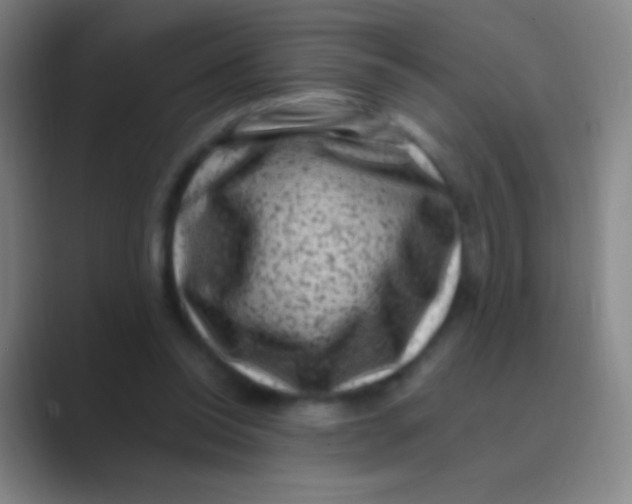 X0000088730350200706282128