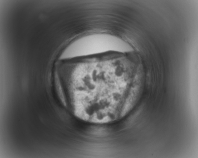 X0000088730351200706282128