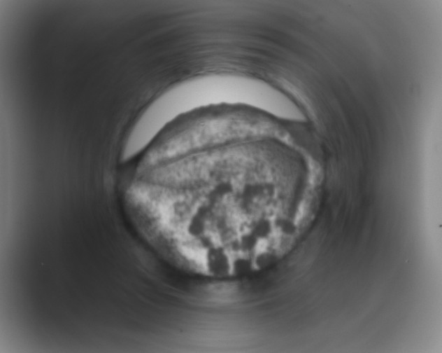 X0000088730353200706282128