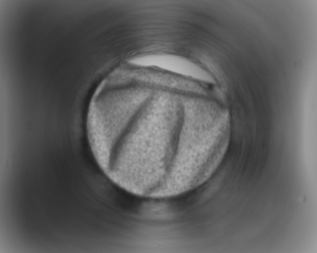 X0000088730354200706282128