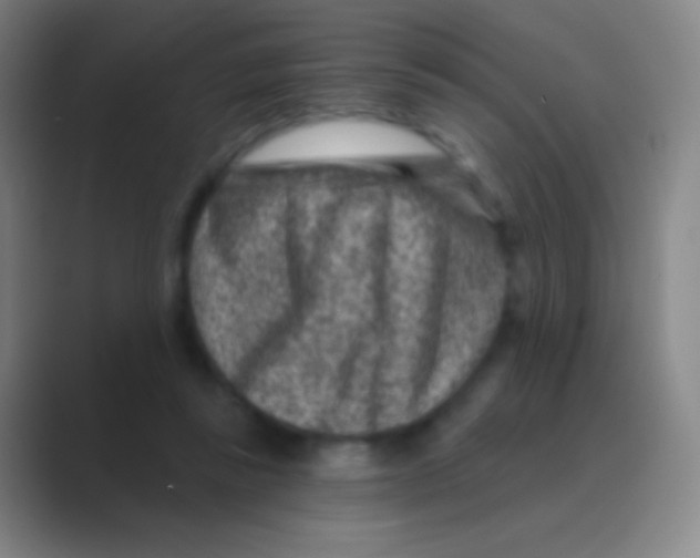 X0000088730355200706282128