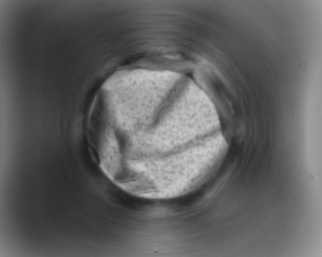 X0000088730356200706282128