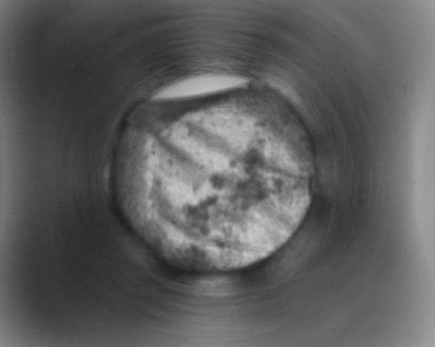 X0000088730357200706282128