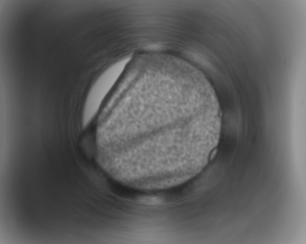 X0000088730358200706282128