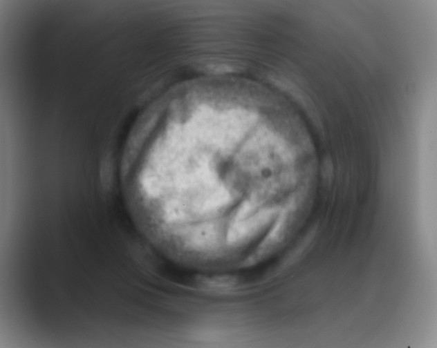 X0000088730359200706282128