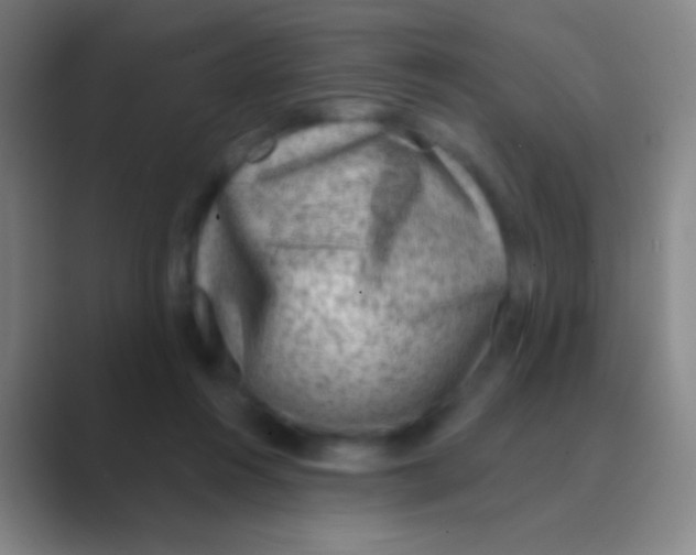 X0000088730360200706282128