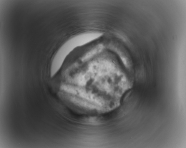 X0000088730365200706282128