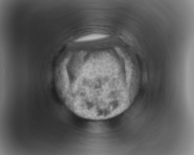 X0000088730367200706282128