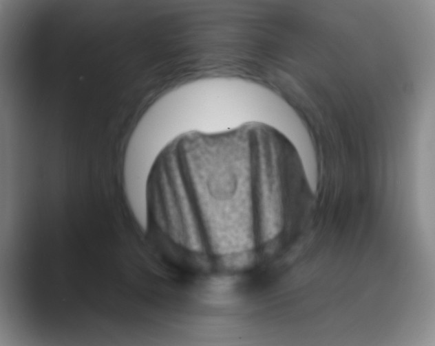 X0000088730368200706282128