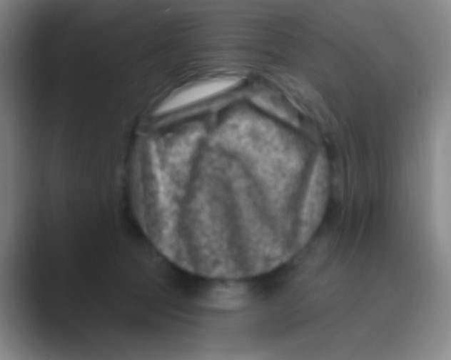 X0000088730369200706282128