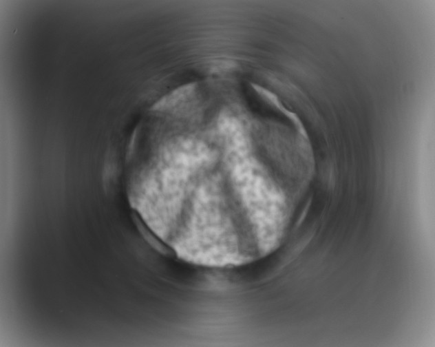 X0000088730372200706282129