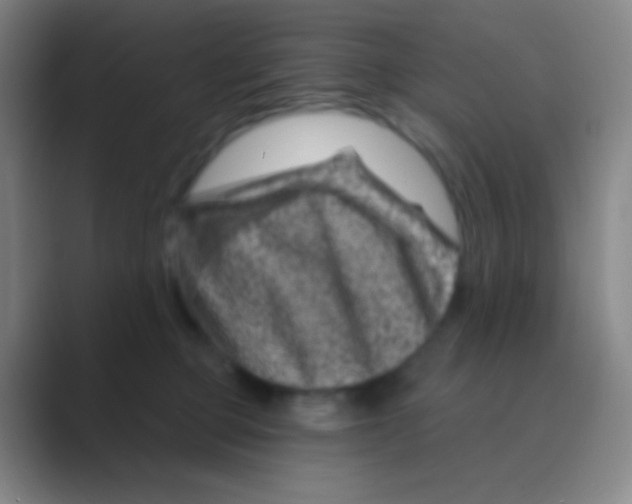 X0000088730373200706282129