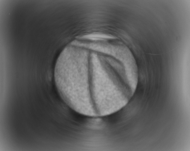 X0000088730374200706282129