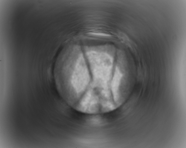 X0000088730377200706282129