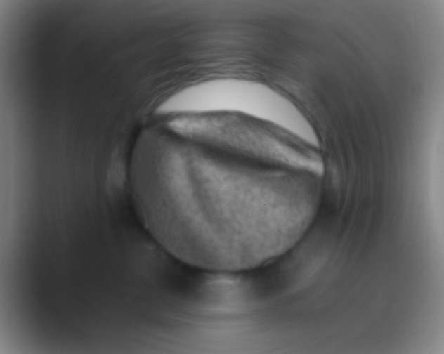 X0000088730380200706282129