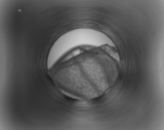 X0000088730381200706282129