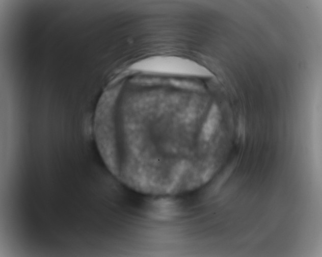 X0000088730383200706282129