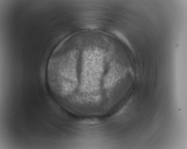 X0000088730386200706282128