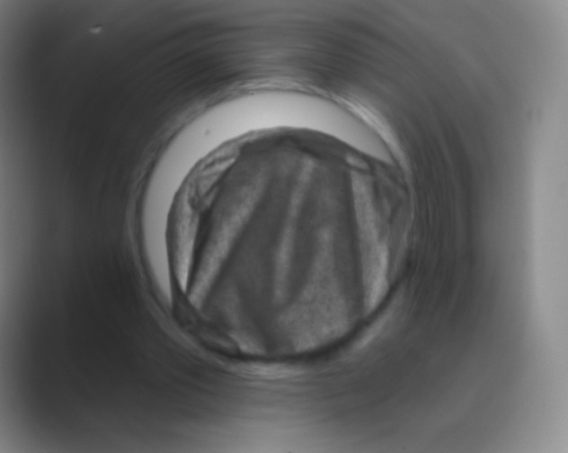 X0000088730389200706282128