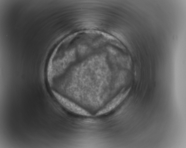 X0000088730390200706282128