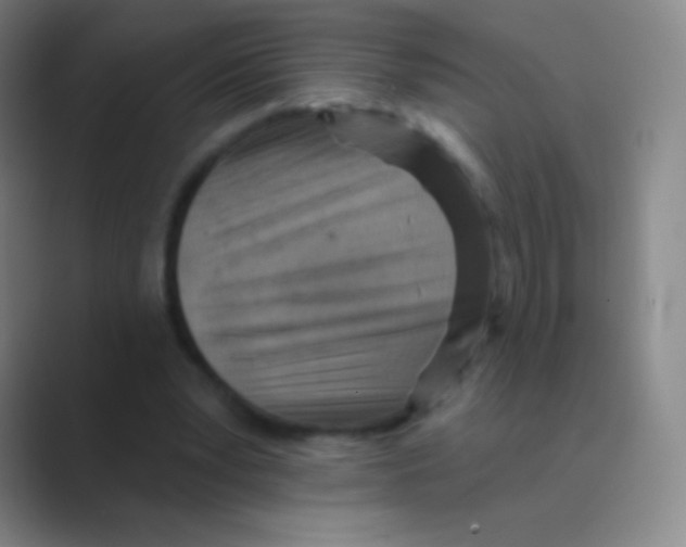 X0000088730391200706282128