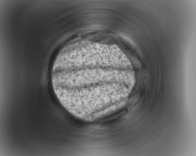 X0000088730392200706282128