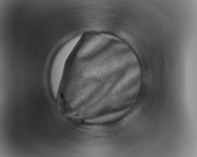 X0000088730395200706282128