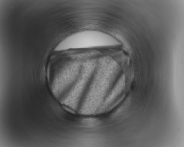 X0000088730397200706282128