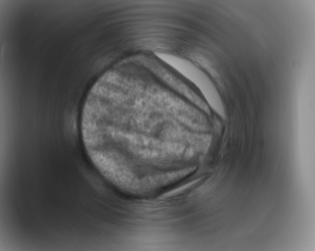 X0000088730398200706282128