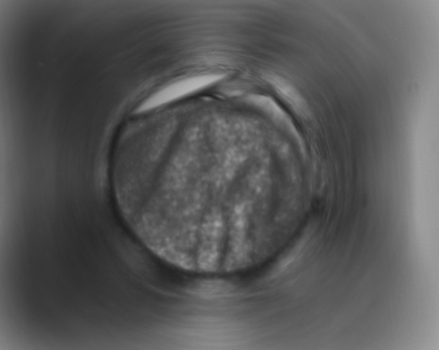 X0000088730399200706282128