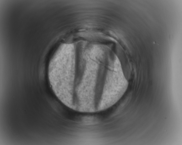 X0000088730400200706282128