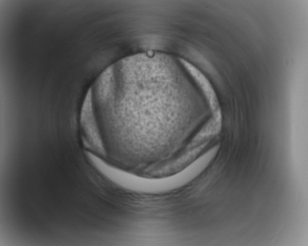 X0000088730401200706282128