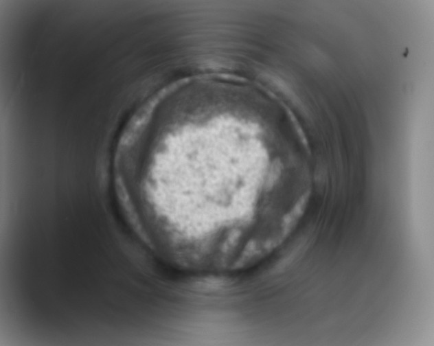 X0000088730402200706282128