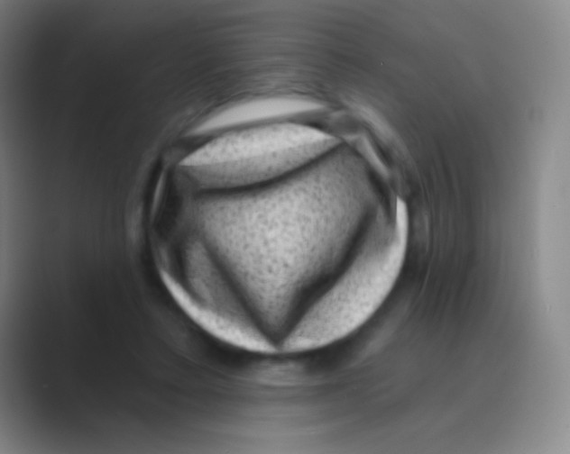 X0000088730403200706282128