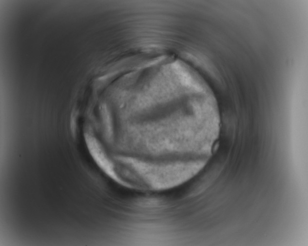 X0000088730404200706282128