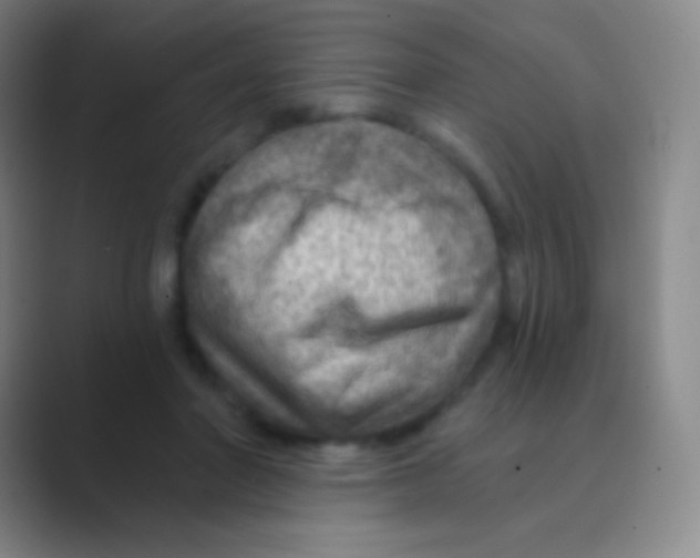 X0000088730406200706282128