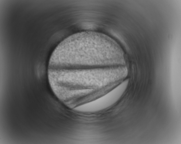 X0000088730407200706282128