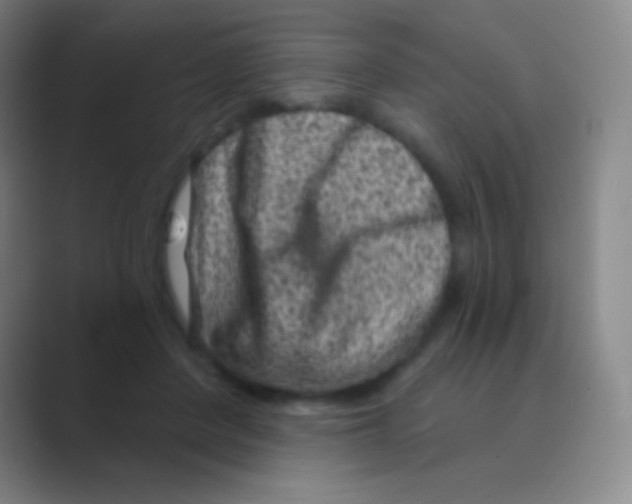 X0000088730408200706282128