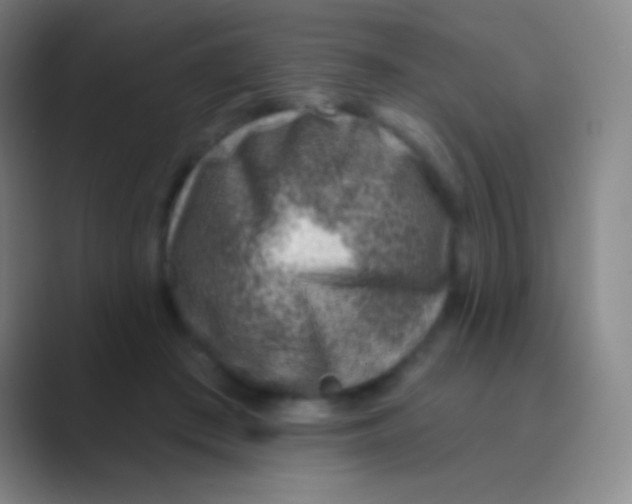 X0000088730409200706282128