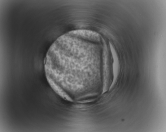 X0000088730417200706282128