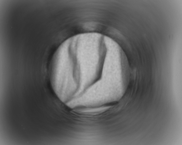 X0000088730418200706282128