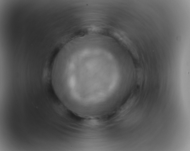 X0000088730419200706282128