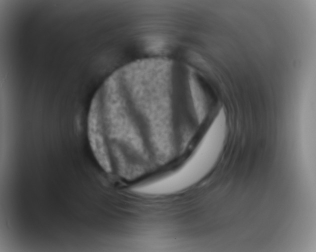 X0000088730424200706282128