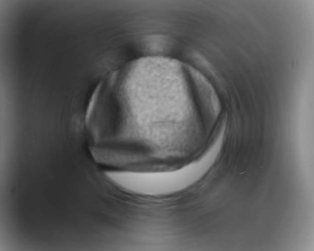 X0000088730425200706282128