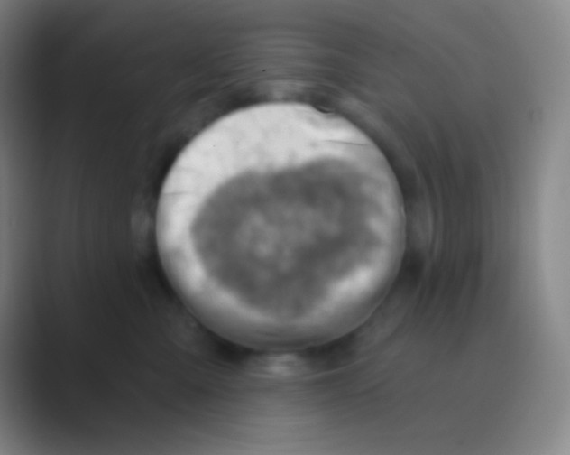 X0000088730427200706282128