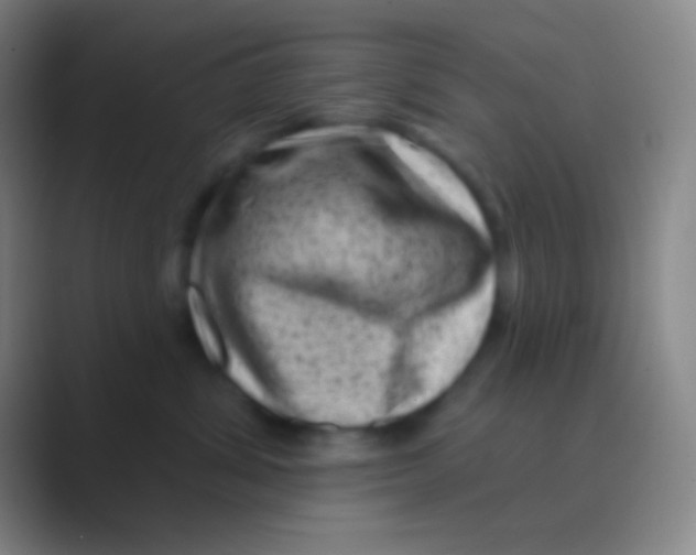 X0000088730428200706282128