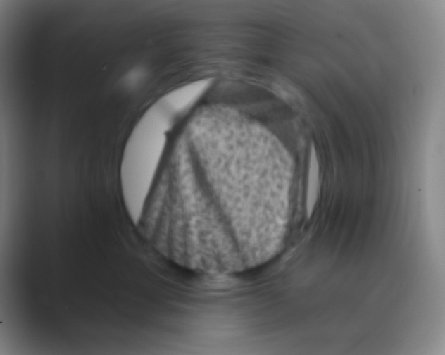 X0000088730429200706282127