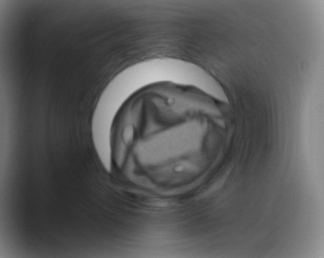 X0000088730432200706282127