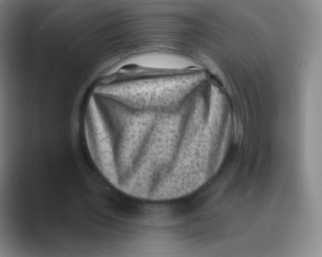 X0000088730435200706282127