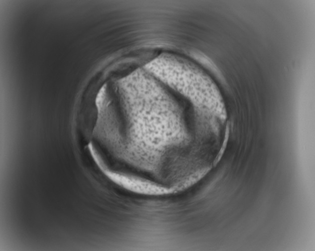 X0000088730436200706282127